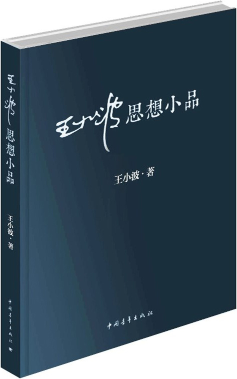 王小波思想小品(精装)
