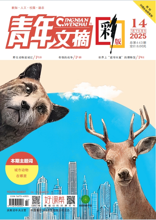 ժʰ棩202514